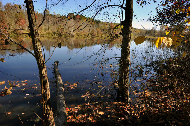 Waterfowl Impoundment at Forney Creek Trail.