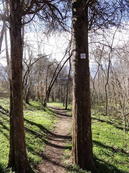 Forney Creek Trail