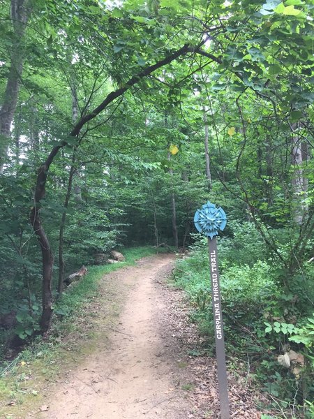 Forney Creek Trail