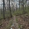 Gambrill State Park Yellow Poplar Loop