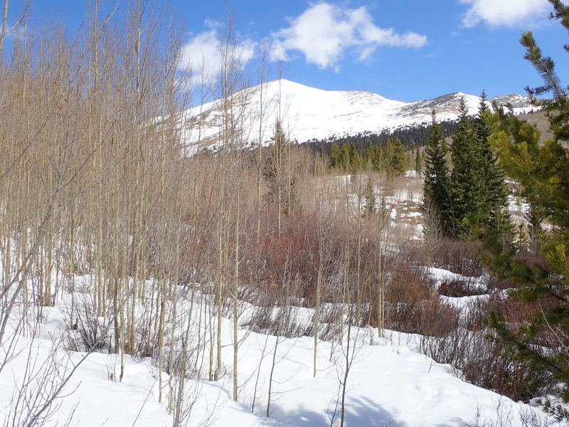 About 4 miles in, where trail becomes difficult to find in the snow (April).