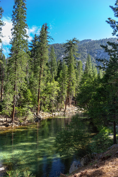 South Fork Kings River on an early July morning