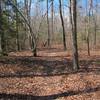 Part of the White Oak Road Battlefield trail.