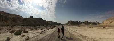 Walking into the Sdom creek path