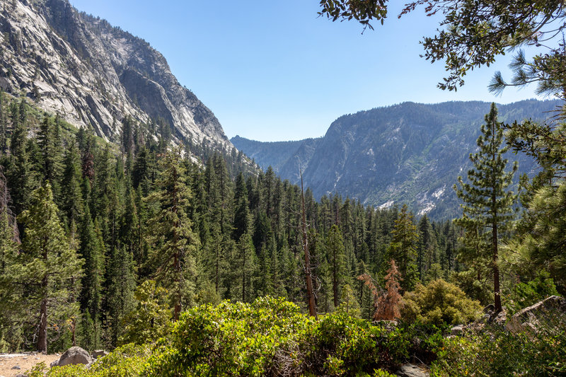 Looking back into Woods Creek Canyon