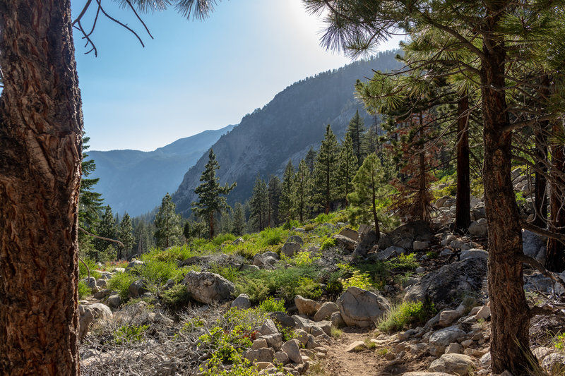 Turn around every now and then as you are ascending next to Woods Creek, the views are worth it.