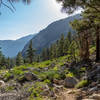 Turn around every now and then as you are ascending next to Woods Creek, the views are worth it.