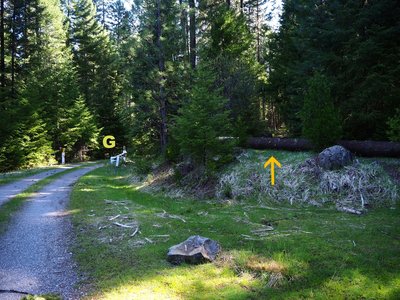 The Dunlop Trailhead (arrow) is just before an open gate (G) on Forest Road 2500-100