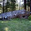 The shed and food cooler is the only building still standing at the Dunlop Ranch.