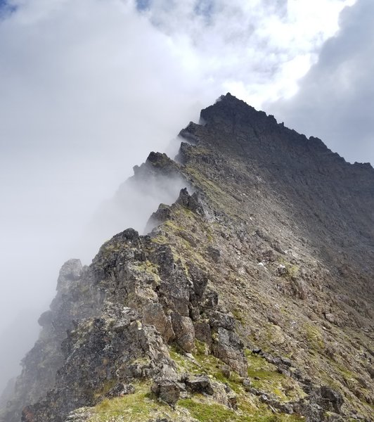 Looking up at the false summit of Homicide Peak from the north. It looks much more menacing than it actually was and less exposed than the backside.