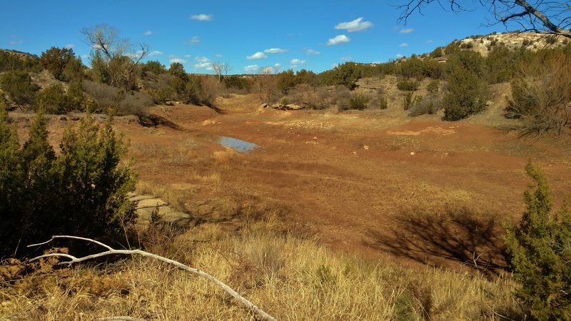 The Duck Pond that Duck Pond Spur circles around. Hope it fills up with rains....