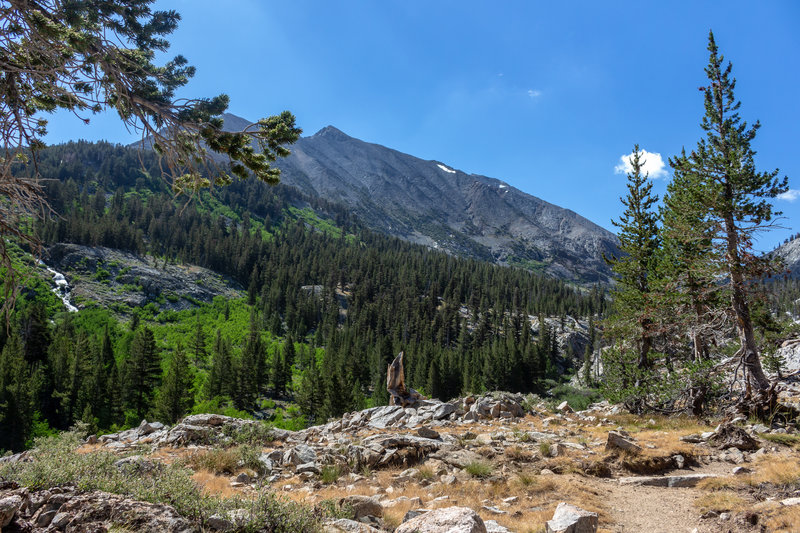 Diamond Peak east of South Fork Woods Creek with its treeless western flank.