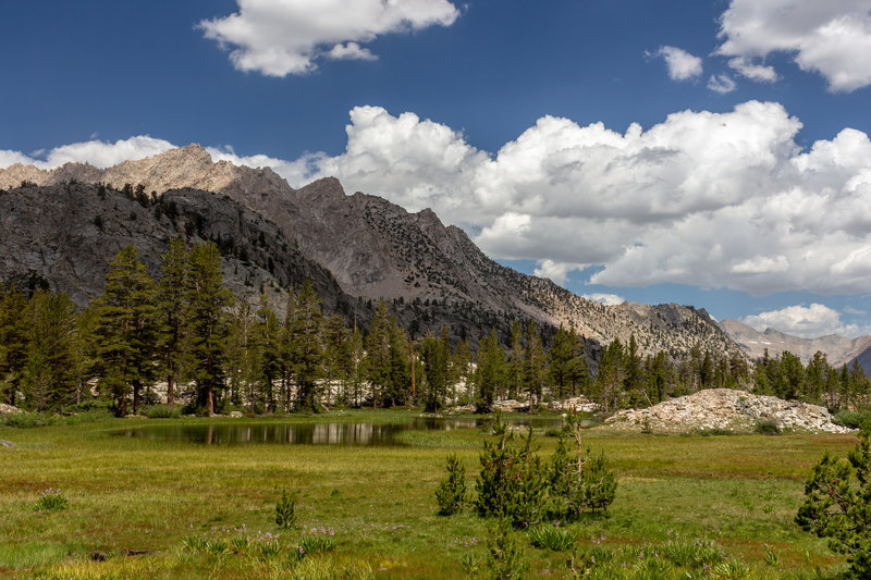 The outskirts of Arrowhead Lake.