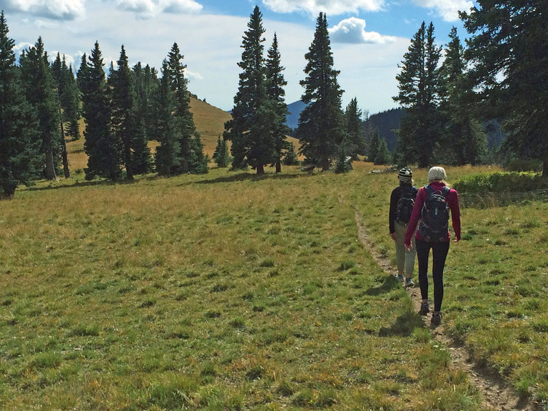 Upper end of the Long Canyon Trail and not far from the Gold Hill Trail junction.