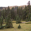 The upper meadow area at the top of the canyon.