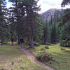 Hiking through the small meadows on the upper end of the canyon.