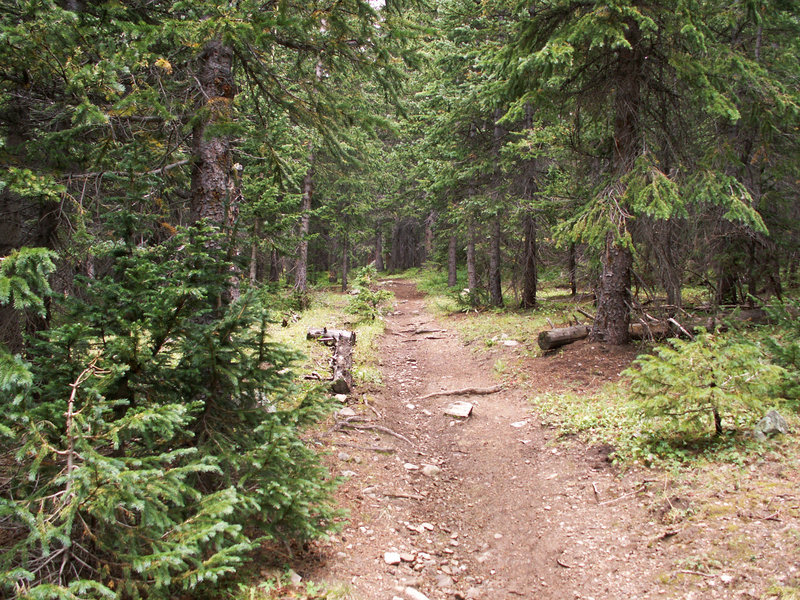 Long Canyon Trail