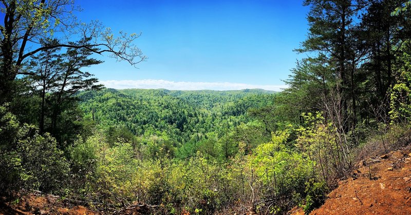 Panoramic View on the Upper Falls Trail.