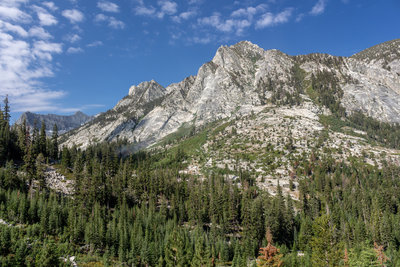 East Vidette from Junction Meadow.