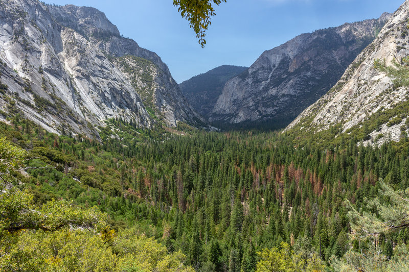 Kings Canyon from the switchbacks on Bubbs Creek Trail