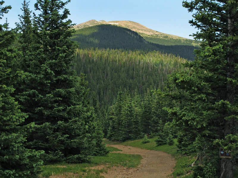 View of Gold Hill from just above Bull of the Woods Pasture area.