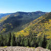 View looking up Long Canyon from the Wheeler Peak Trail/Bull of the Woods Trail.