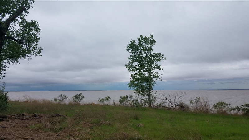 Looking out over the lake.