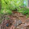 Stairs and rocky descent along Union Dam Trail