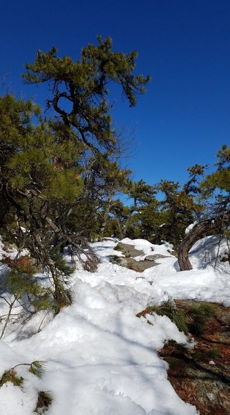 Great hike, even in the snow!