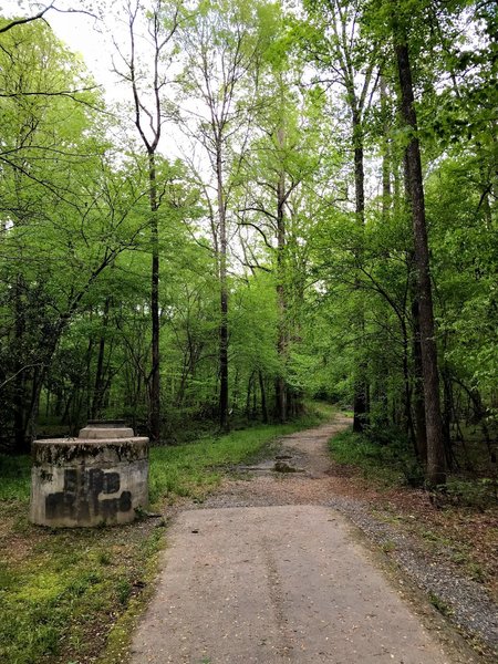 The trail transitions from paved to gravel