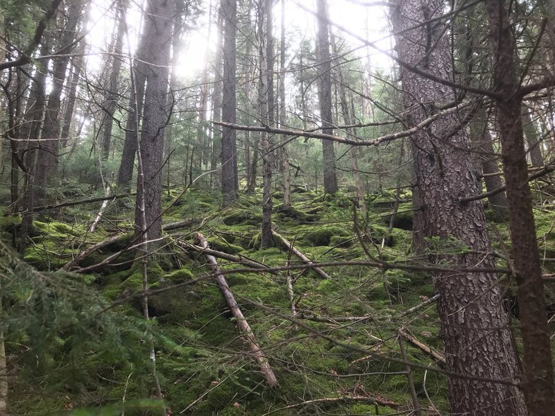 Hiking out Middle Fork