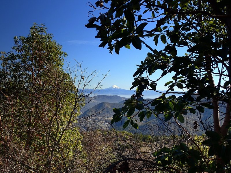 Mount McLoughlin from Tin Pan Peak