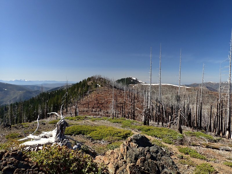 Canyon Peak (with snow) to the south