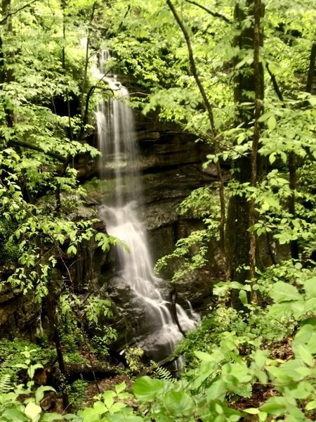 Lost Sink Falls