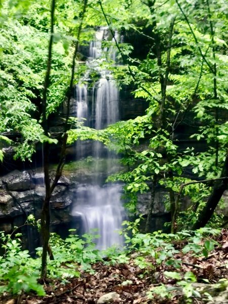 Lost Sink Falls