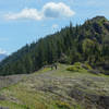 Mt Hood as seem from the open saddle north of Hamilton Mountain