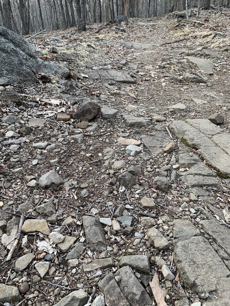 There are some rocks to navigate on the trail.