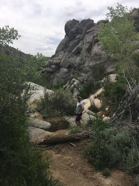 Admiring the giant rocks in the dry river bed.