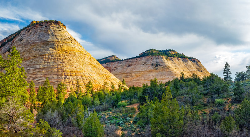 Checkerboard Mesa