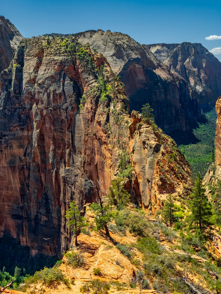 Angels Landing from West Rim Trail