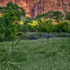 Deertrap Mountain (behind the cliff band)