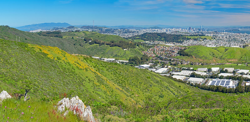 Goldfields and San Francisco Skyline