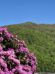 Shuckstack Fire Tower from the top of Fontana Dam (a little bit closer...)