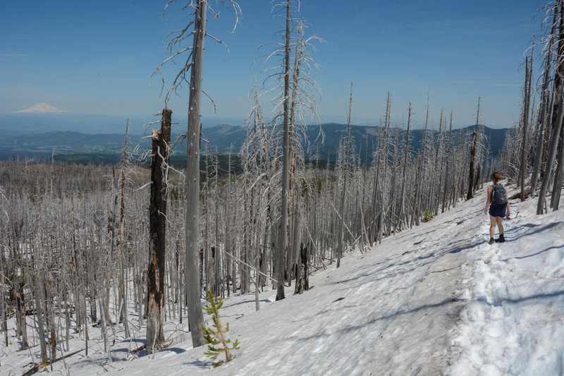 Clear views to Mt Adams on clear spring day