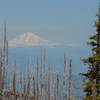 Mt Adams through the burn