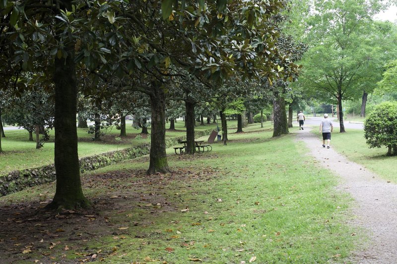 The Whittington Trail is a popular location for area residents. The lack of elevation gain and gravel path free of obstacles make it popular with walkers and joggers.