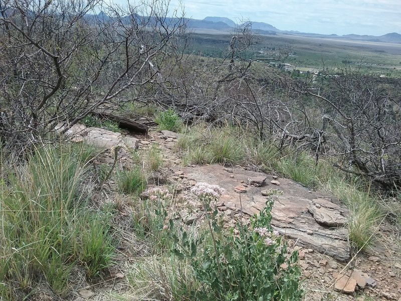 Looking south from the trail