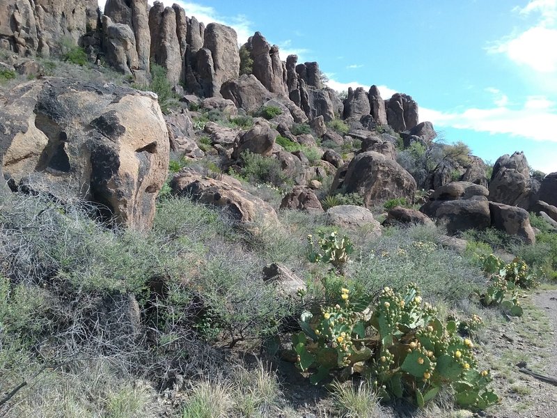 Looking NE on the trail.