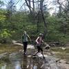 Multiple Water crossings on Trail