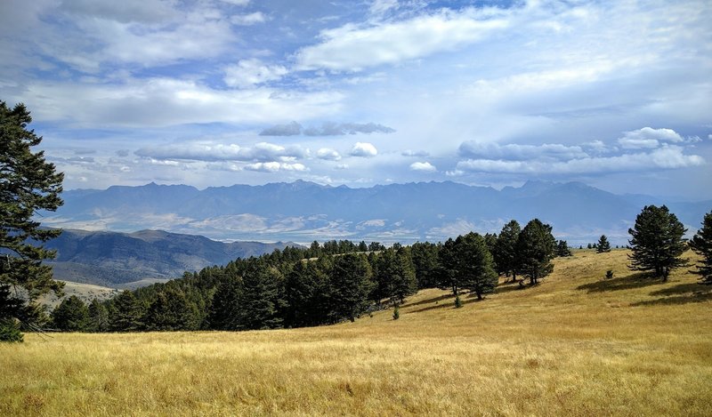 Absaroka mts